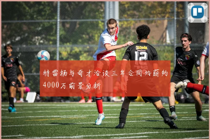 特雷杨与奇才洽谈三年合同均薪约4000万前景分析