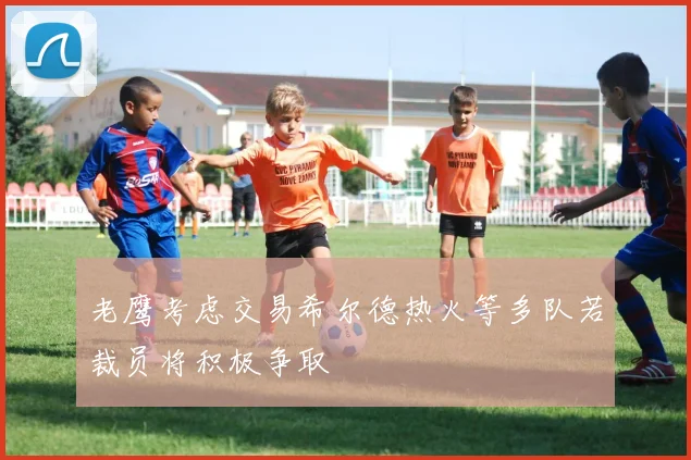 老鹰考虑交易希尔德热火等多队若裁员将积极争取